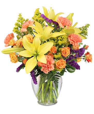 Bursting With Glee! Arrangement in Monroe, NC | MONROE FLORIST & GIFTS