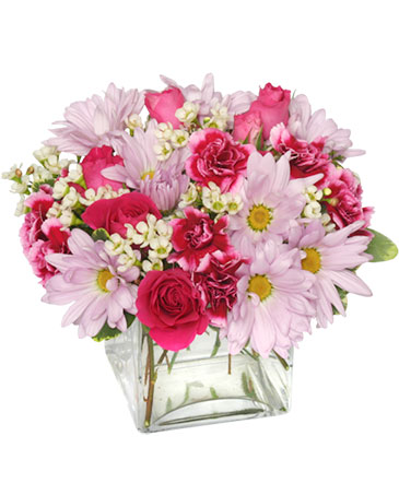 Thoughtful Expressions Arrangement in Monroe, NC | MONROE FLORIST & GIFTS